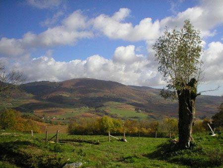 Le Colombier D'Amalthee Villa Vernay Buitenkant foto